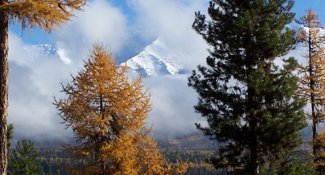 1350 Summit Park, Seeley Lake, MT 59868 - view of mountain backdrop
