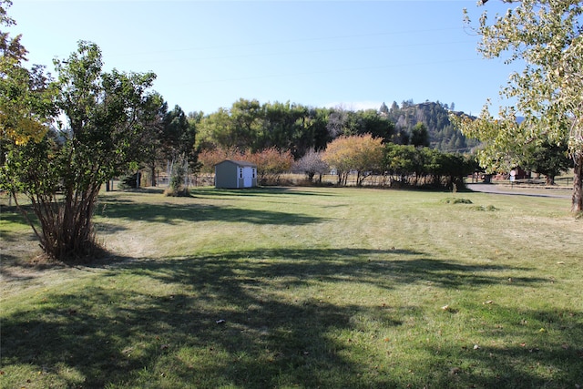 view of yard with a storage unit