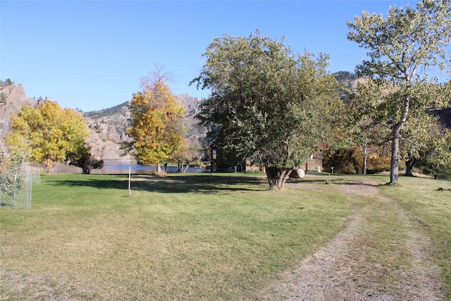 view of yard with a mountain view