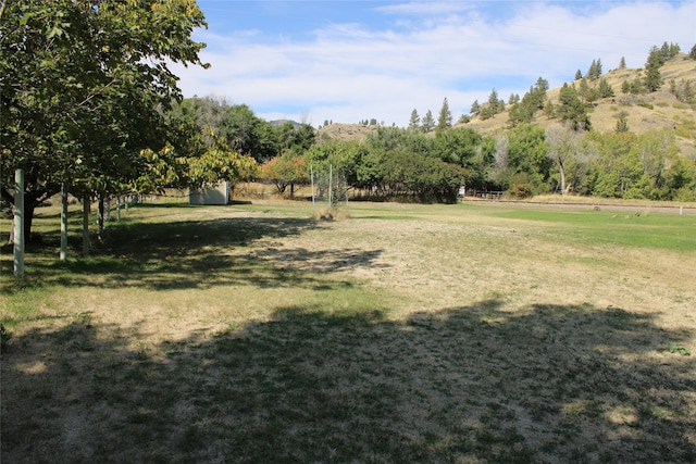 view of yard featuring a rural view