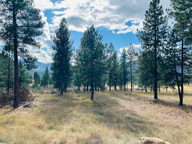 NHN River Rd W, Plains MT, 59859 land for sale