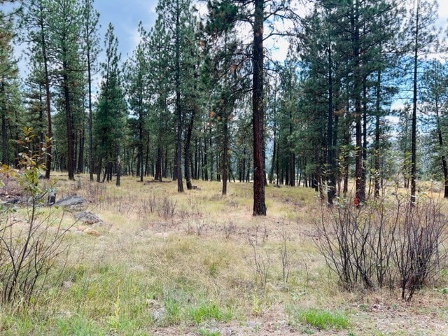 Listing photo 2 for NHN River Rd W, Plains MT 59859