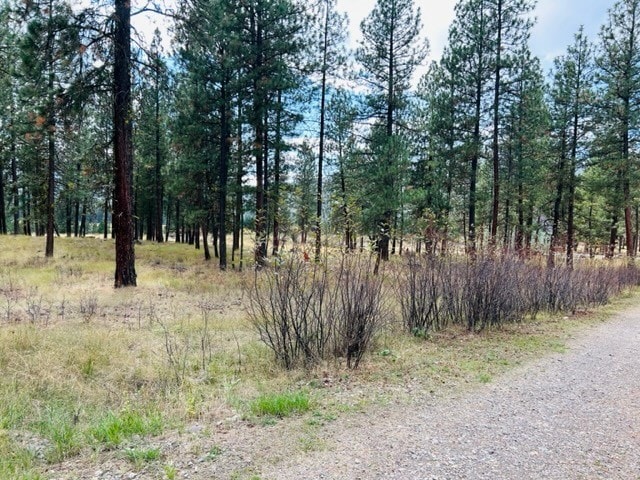 Listing photo 3 for NHN River Rd W, Plains MT 59859