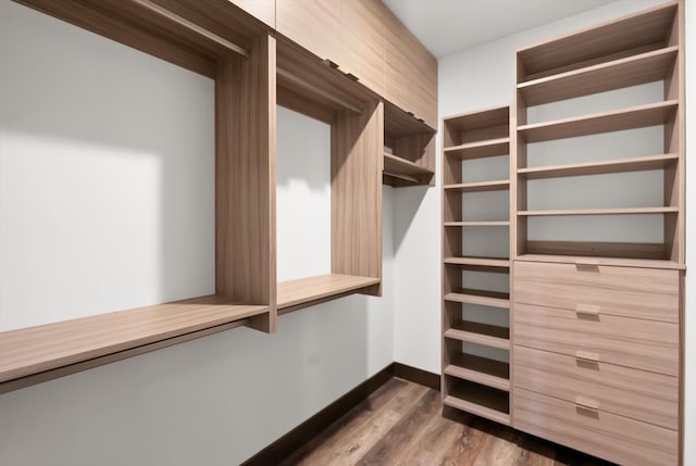 spacious closet featuring dark wood finished floors