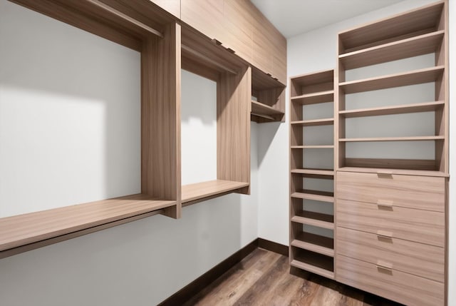 311 Akers Ln Unit D, Whitefish, MT 59937 - walk in closet featuring dark wood-style floors