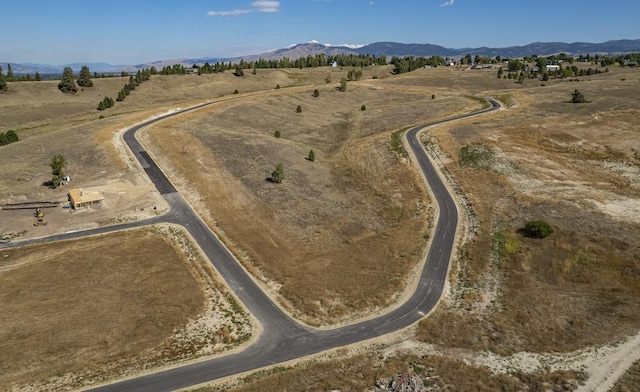 1117 Rugged Ridge Rd, Stevensville, MT 59870