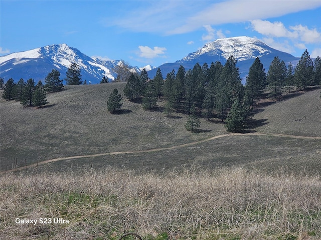 1117 Rugged Ridge Rd, Stevensville, MT 59870