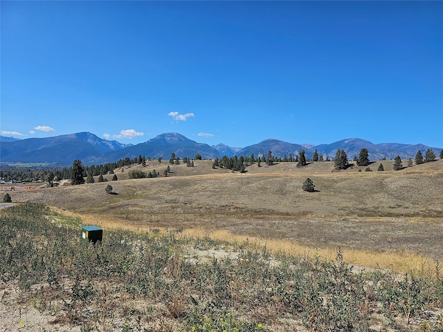 1117 Rugged Ridge Rd, Stevensville, MT 59870