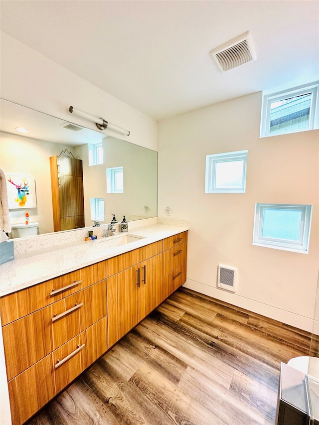 bathroom featuring toilet, large vanity, and hardwood / wood-style flooring