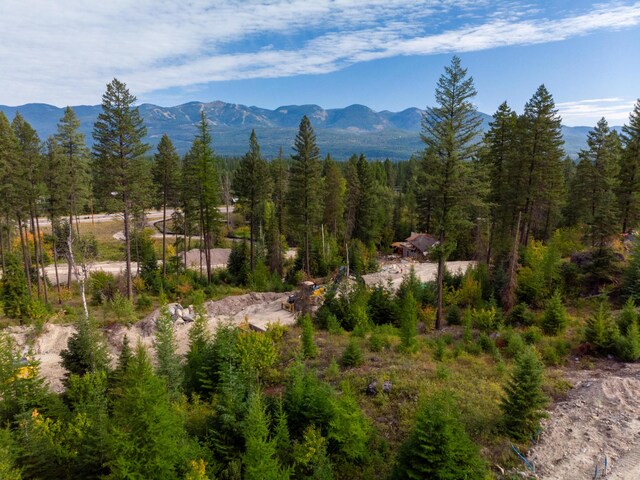 321 Rock Ridge Rd, Whitefish, MT 59937