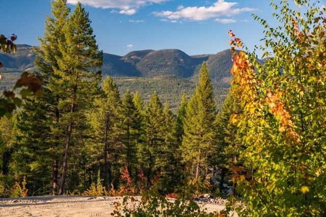 321 Rock Ridge Rd, Whitefish, MT 59937