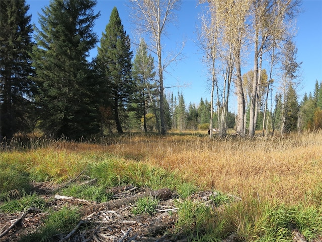 view of landscape