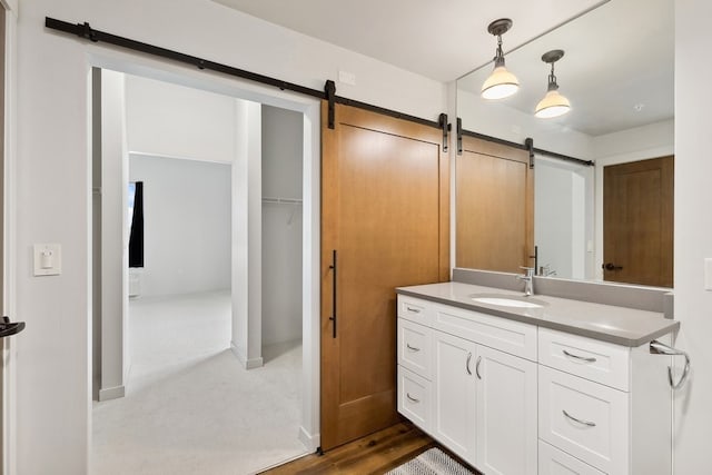 bathroom with hardwood / wood-style flooring and large vanity