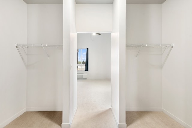 spacious closet with light colored carpet