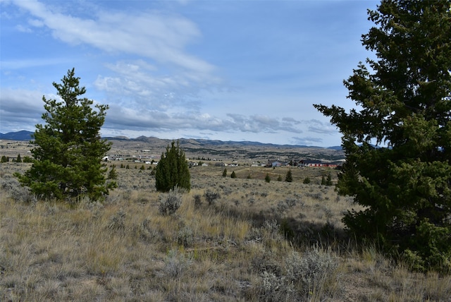 Listing photo 3 for tbd Indian Paint Brush Road, Butte MT 59701