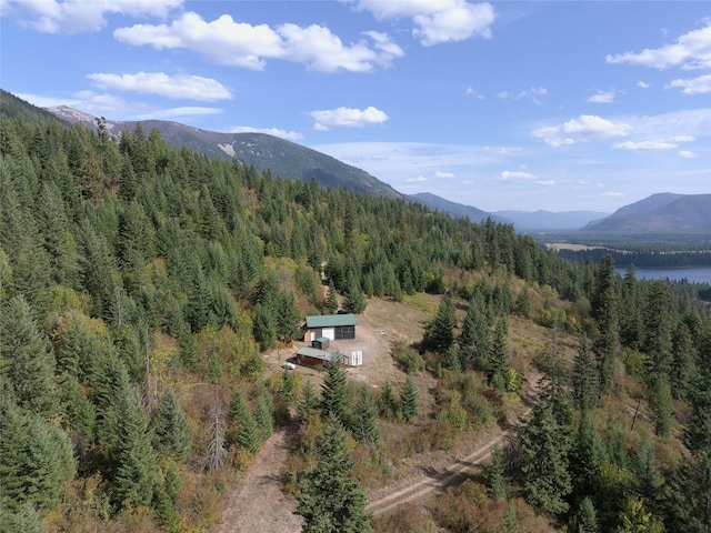 view of mountain feature