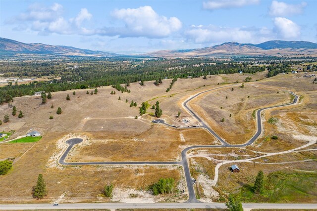 LOT4 Rugged Ridge Rd, Stevensville, MT 59870