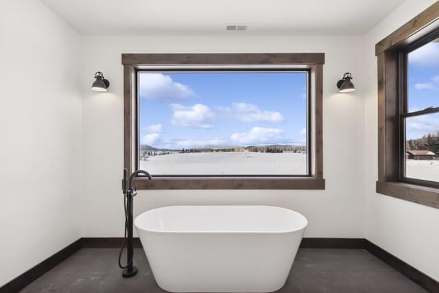 bathroom with a washtub