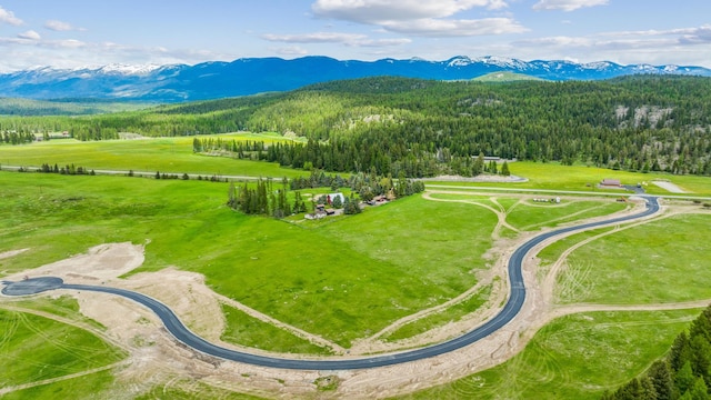 birds eye view of property with a mountain view