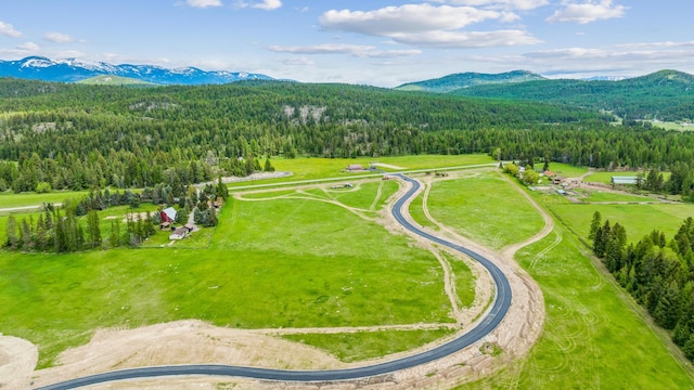 birds eye view of property with a mountain view