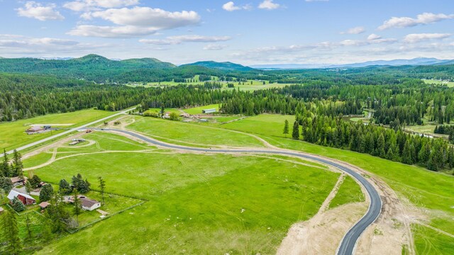 bird's eye view featuring a mountain view