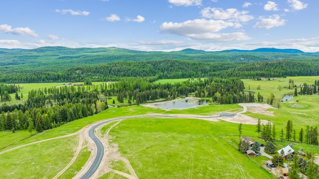 drone / aerial view featuring a water and mountain view