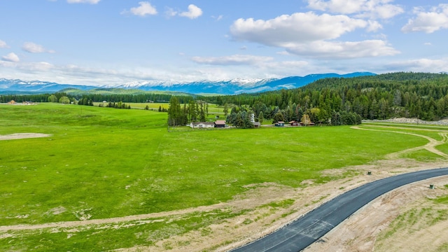 view of property's community featuring a mountain view and a rural view