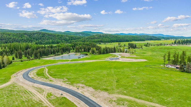 view of home's community with a water and mountain view