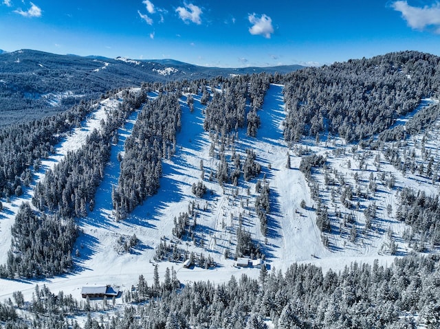 425 Lagger Gulch Rd, Anaconda, MT 59711 - snowy aerial view with a mountain view