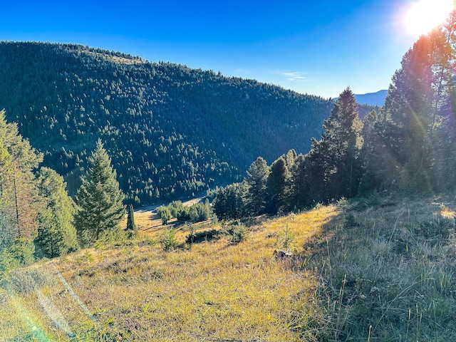425 Lagger Gulch Rd, Anaconda, MT 59711 - view of mountain feature featuring a forest view