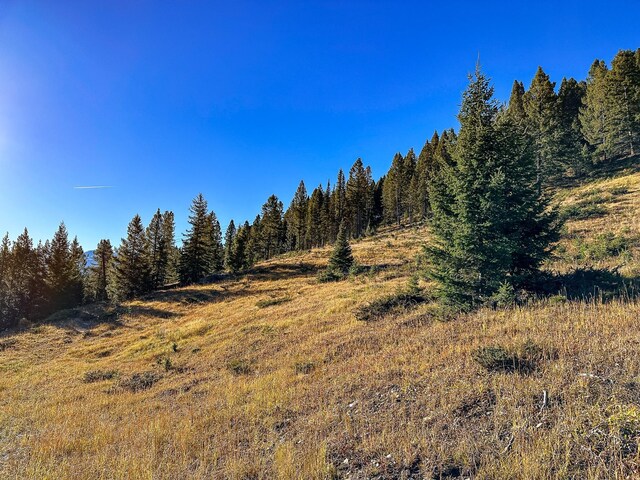 425 Lagger Gulch Rd, Anaconda, MT 59711 - view of landscape featuring a forest view