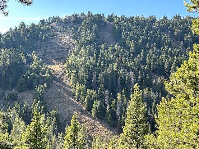 425 Lagger Gulch Rd, Anaconda, MT 59711 - birds eye view of property with a forest view