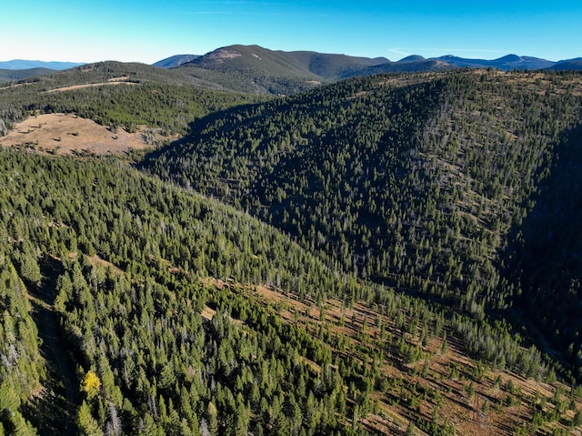 425 Lagger Gulch Rd, Anaconda, MT 59711 - property view of mountains with a forest view