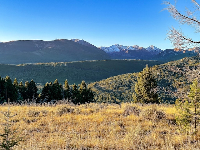 425 Lagger Gulch Rd, Anaconda, MT 59711 - view of mountain feature