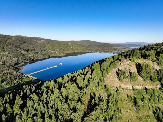 425 Lagger Gulch Rd, Anaconda, MT 59711 - aerial view featuring a forest view and a water and mountain view