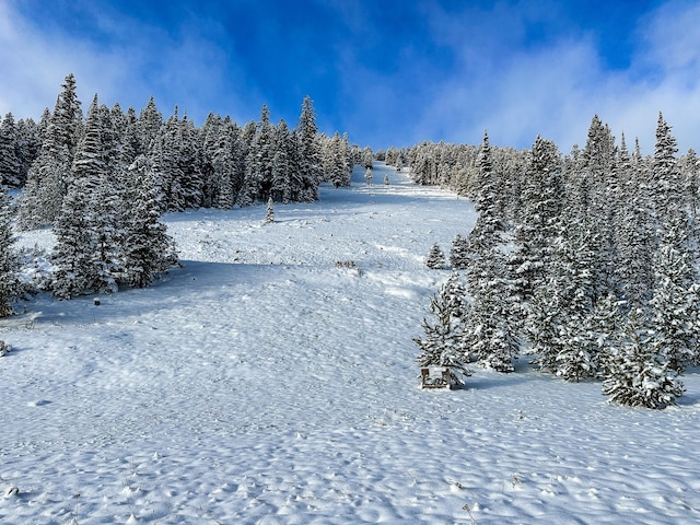 425 Lagger Gulch Rd, Anaconda, MT 59711 - view of yard layered in snow
