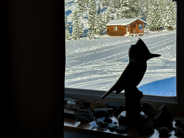 425 Lagger Gulch Rd, Anaconda, MT 59711 - view of interior details