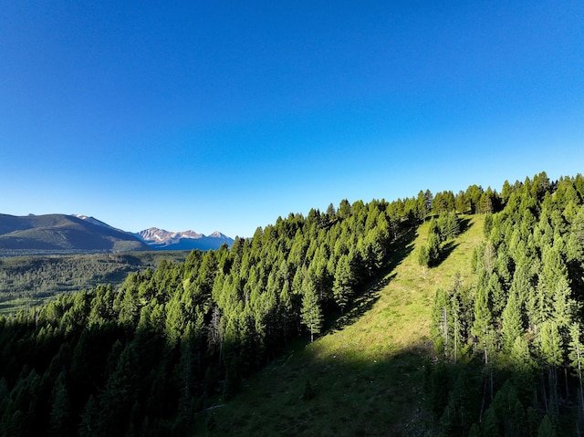 425 Lagger Gulch Rd, Anaconda, MT 59711 - property view of mountains featuring a forest view