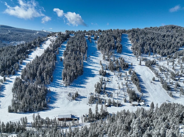 425 Lagger Gulch Rd, Anaconda, MT 59711 - view of snowy aerial view