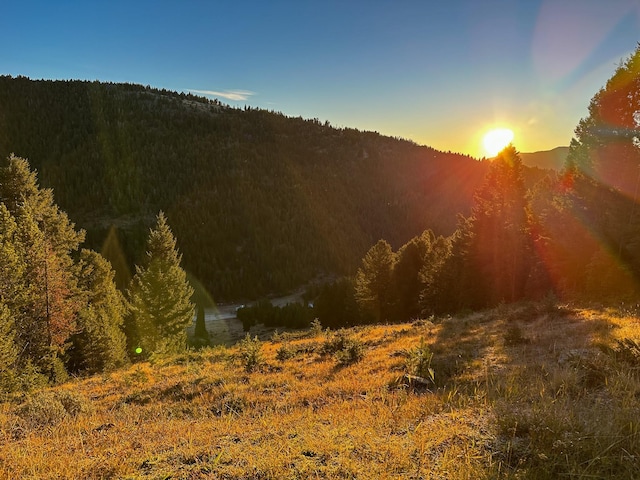 425 Lagger Gulch Rd, Anaconda, MT 59711 - view of mountain feature with a view of trees