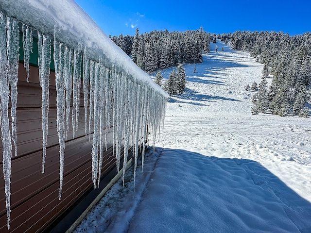 425 Lagger Gulch Rd, Anaconda, MT 59711 - view of yard layered in snow