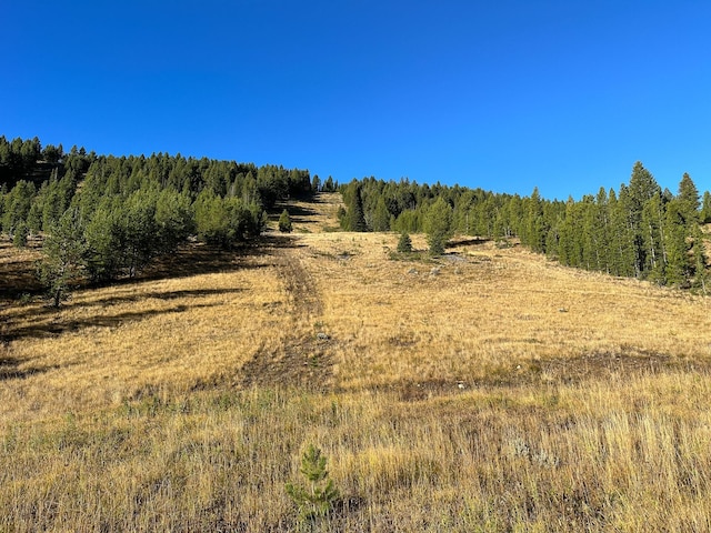 425 Lagger Gulch Rd, Anaconda, MT 59711 - view of nature with a rural view