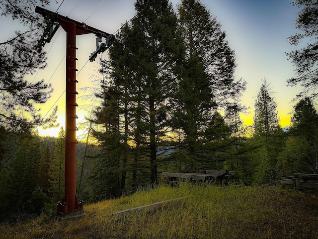 425 Lagger Gulch Rd, Anaconda, MT 59711 - view of local wilderness featuring a view of trees