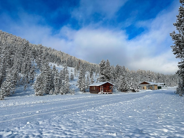 425 Lagger Gulch Rd, Anaconda, MT 59711 - snowy yard with an outbuilding and a forest view