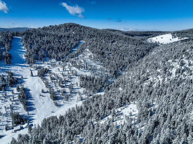425 Lagger Gulch Rd, Anaconda, MT 59711 - snowy aerial view featuring a forest view and a mountain view