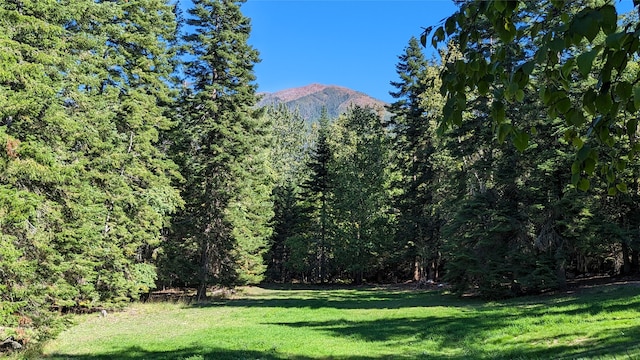 11552 S Whitetail Rd, Bigfork MT, 59911 land for sale