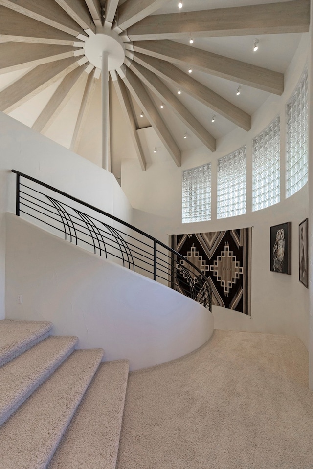 stairs with carpet floors, beamed ceiling, and a high ceiling