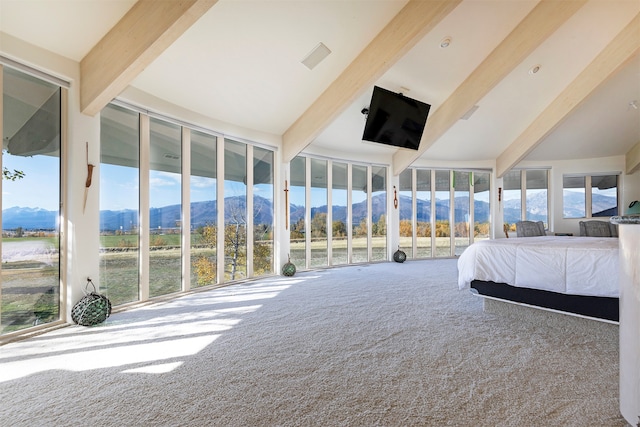 bedroom with beamed ceiling, carpet, a towering ceiling, and expansive windows