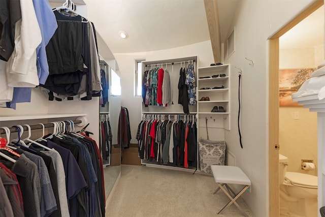 spacious closet with carpet floors