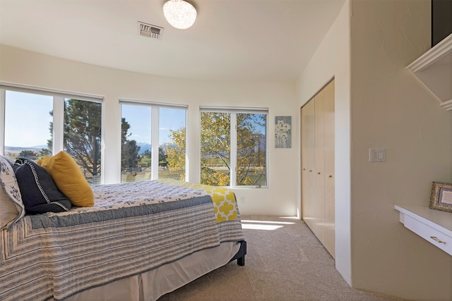 bedroom featuring light colored carpet and a closet